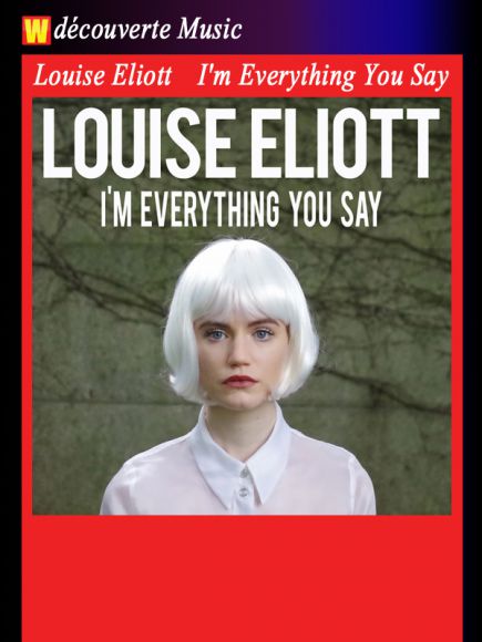 I'm Everything You Say de Louise Eliott